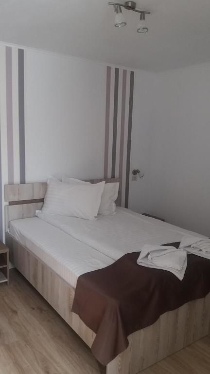 Гостевой дом Pensiunea Argesu ** Синая-76