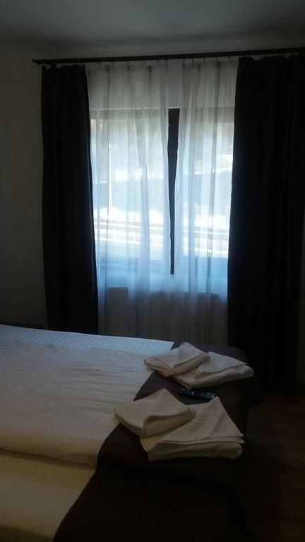 Гостевой дом Pensiunea Argesu ** Синая-80