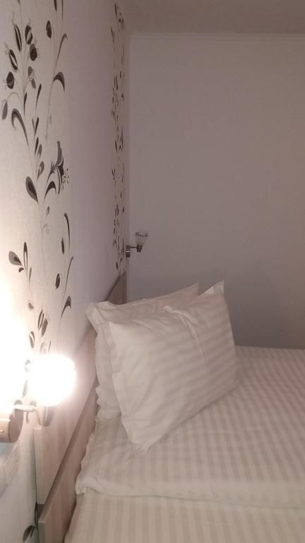 Гостевой дом Pensiunea Argesu ** Синая-84