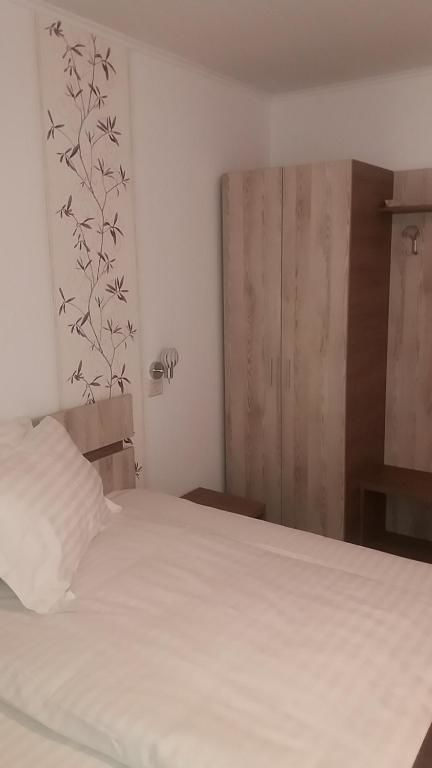 Гостевой дом Pensiunea Argesu ** Синая-91