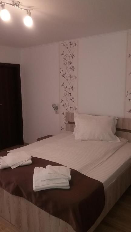 Гостевой дом Pensiunea Argesu ** Синая-95